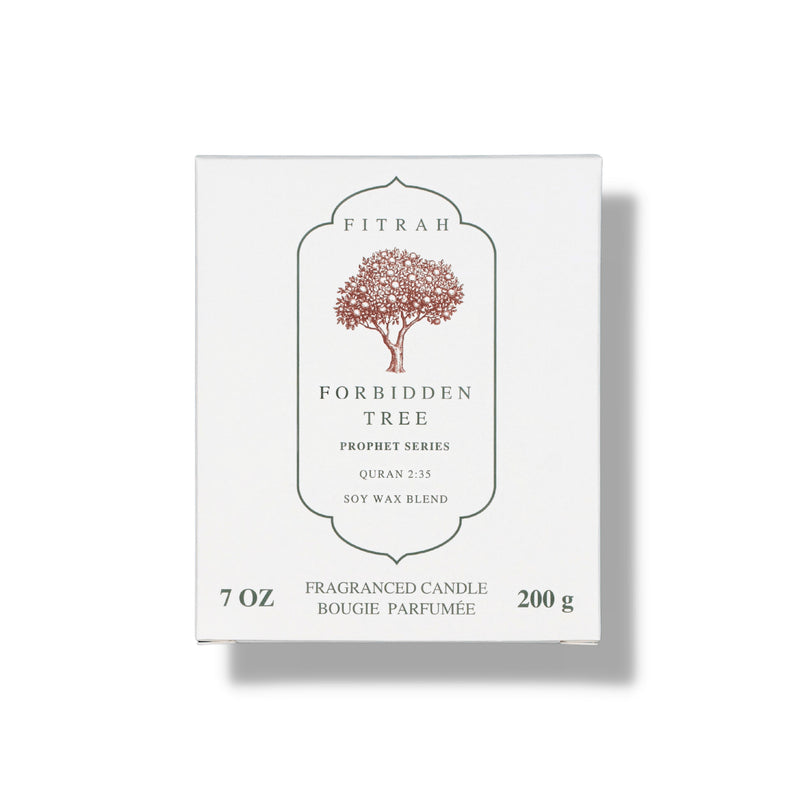 front view of forbidden tree candle box from prophet series collection